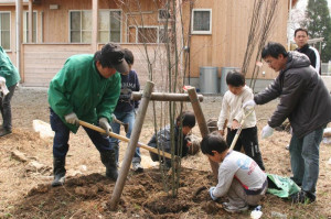 村の診療所なので地域の子供と一緒に植樹しました